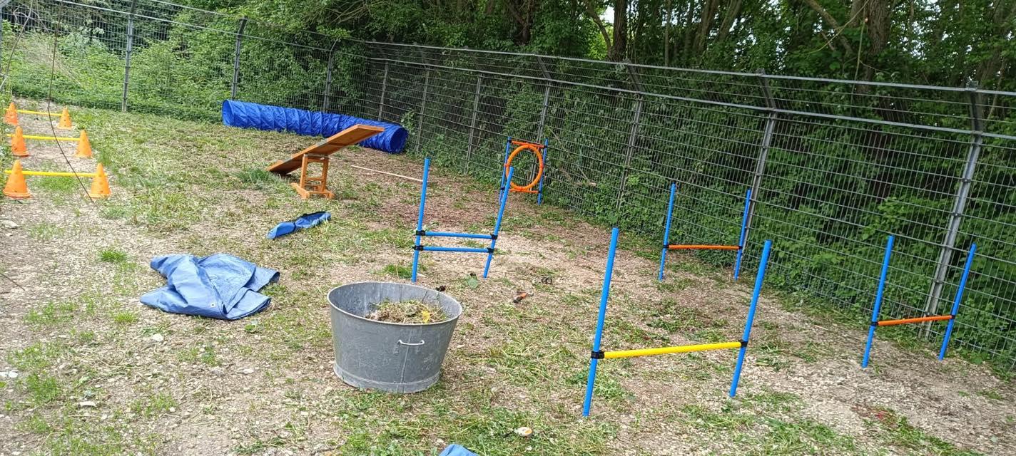 Agility