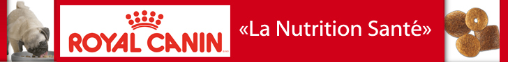 Banniere royalcanin