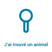 J'ai retrouvé un animal