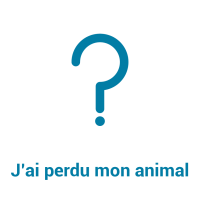 J'ai perdu mon animal