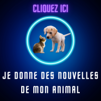 Je donne des nouvelles de mon animal
