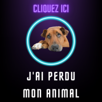 Logo animal perdu