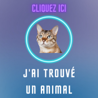 Logo animal trouve