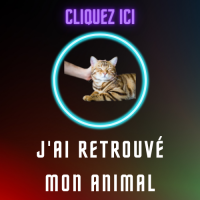 Logo j ai retrouve mon animal
