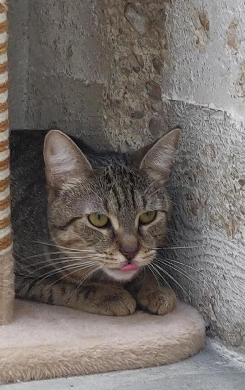 Mulan